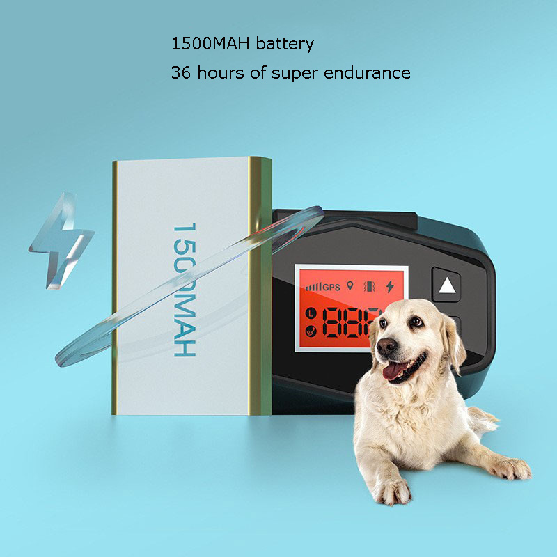 Kalung Pelacak Anjing GPS Nirk - Gps Running Watch ulasan dan harga